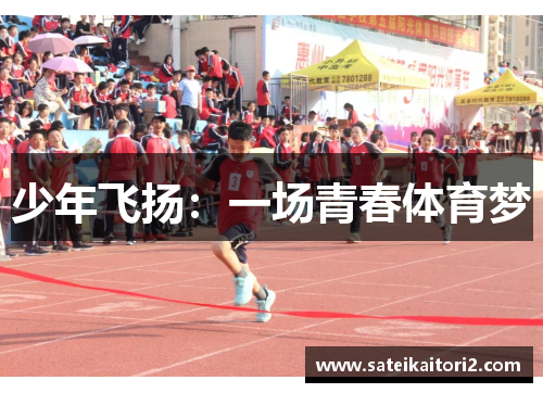 少年飞扬：一场青春体育梦
